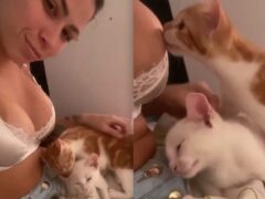 Zoofilia Mc Pipokinha fudendo gostoso com felino